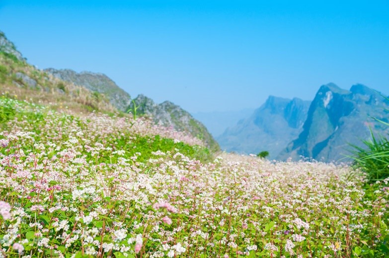 img-ha-noi-ha-giang-dong-van